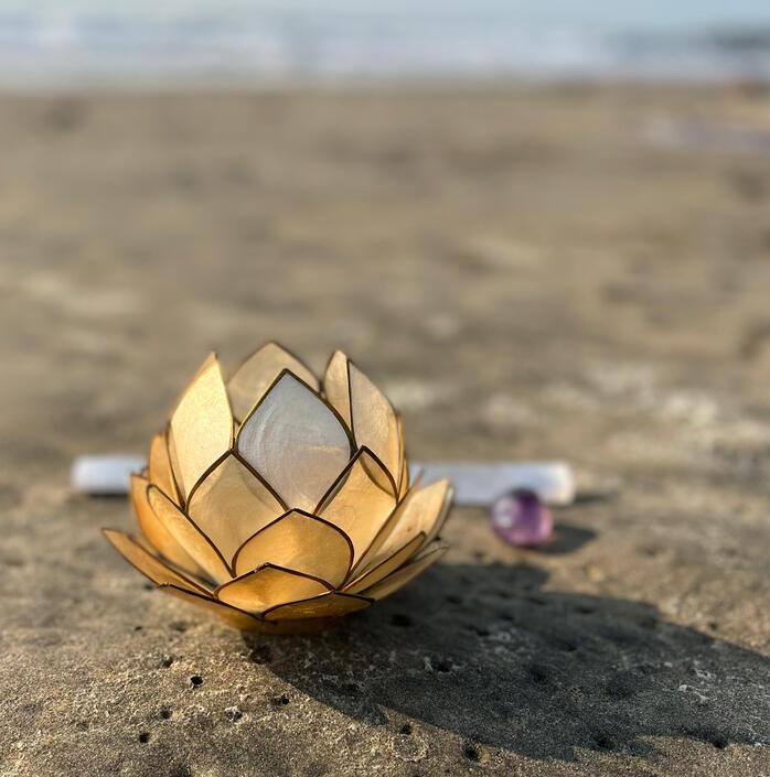 Workshops, Classes & Events